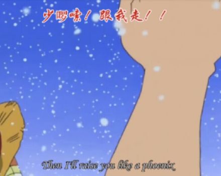 紫苏叶的功效 紫苏叶禁忌有哪些?|星空官方网站(图2) 星空官方网站