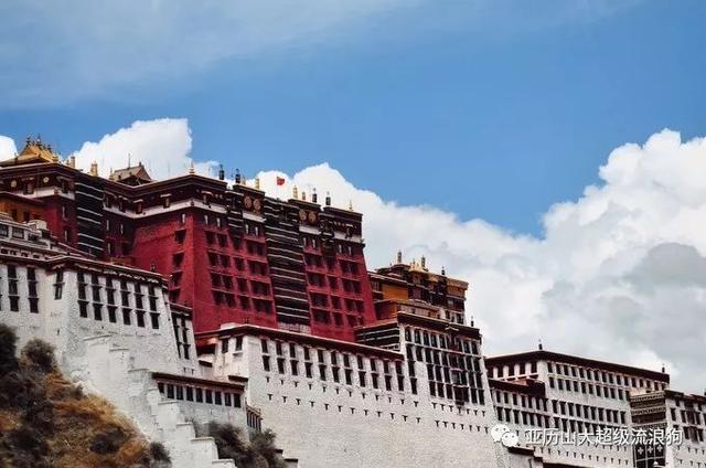 星空app官方网页