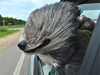 星空app官方网页