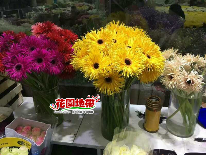 “星空app官方网页”热依扎回应穿吊带上热搜:不是因为演技有啥可开心的(图4) 星空官方网站