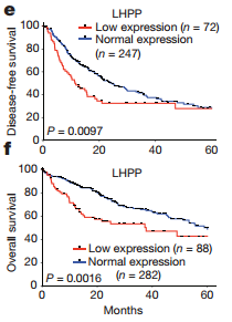 星空app官方网页