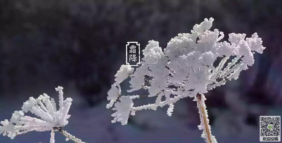 星空app官方网页