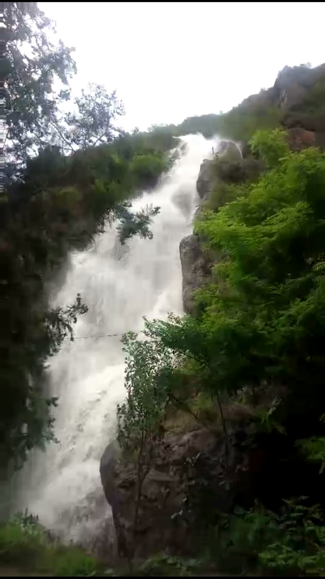 斯坦福:我们与涉事医院没关系‘星空app官方网页’(图1) 星空官方网站