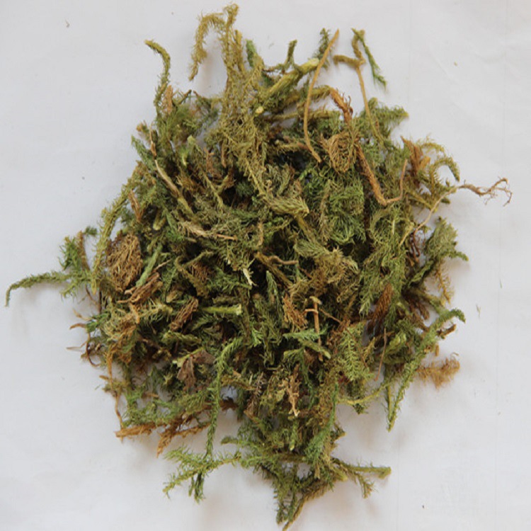 星空app官方网页